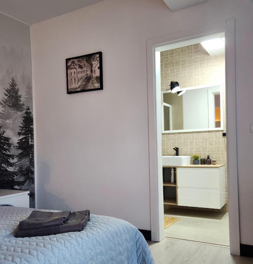 My Room Accommodation Curtea De Arges Exterior photo